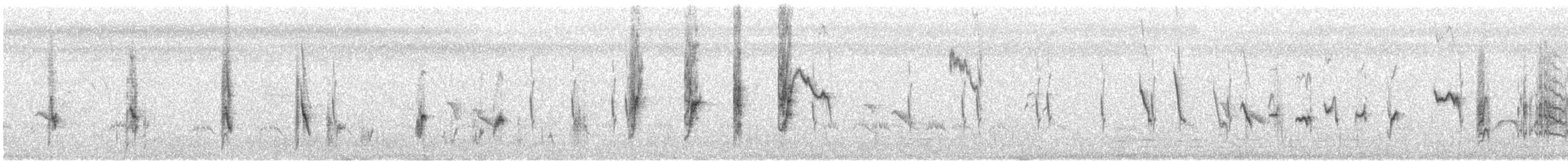 Long-tailed Shrike - ML645715200