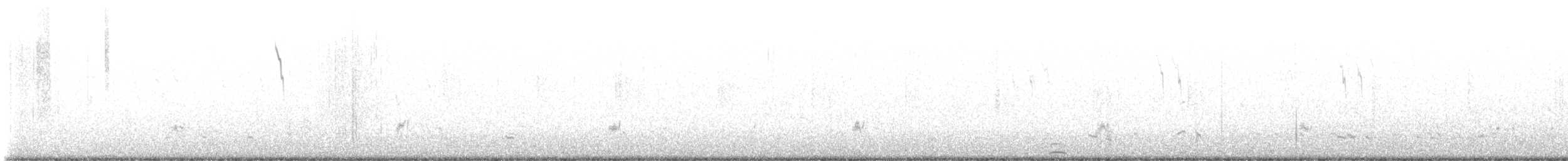 Tundra Swan - ML645715248