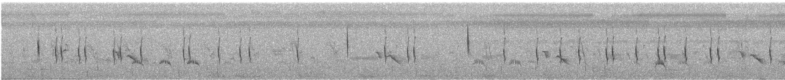 Plain Prinia - ML645715256