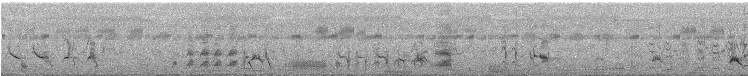 Common Myna - ML645715297