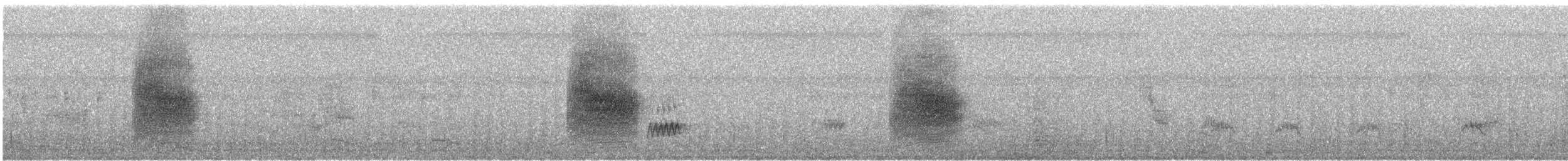 Indian Pied Starling - ML645715313