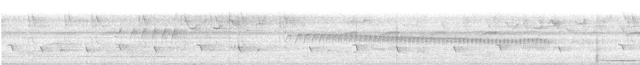 Solitary Tinamou - ML645715350