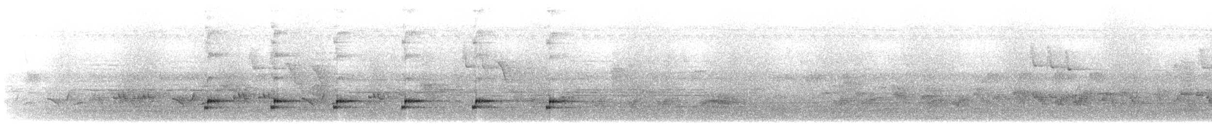 Greater Racket-tailed Drongo - ML645715369