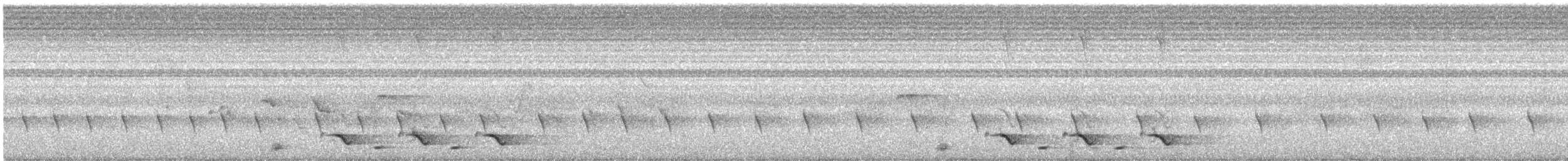 Doherty's Bushshrike - ML645715797