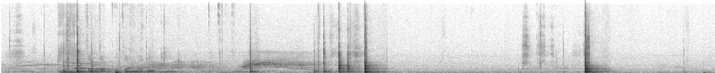 Mackinnon's Shrike - ML645716042
