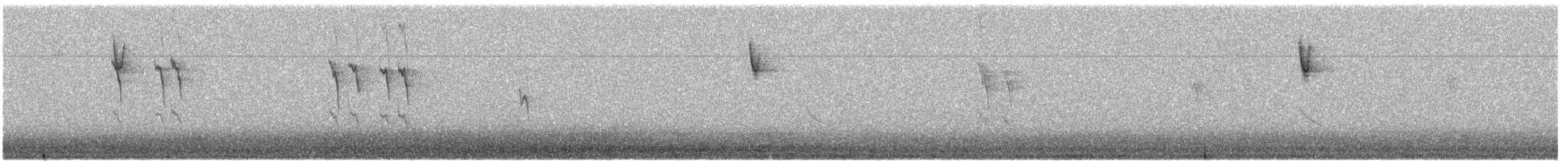 American Pipit - ML645716453