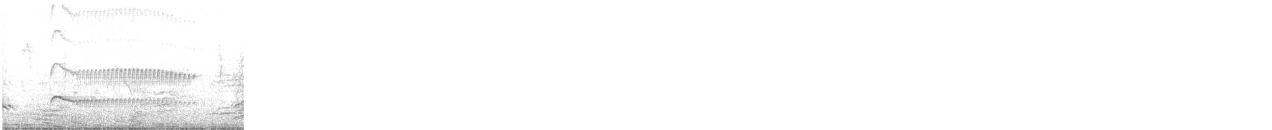 Dusky-capped Flycatcher - ML645716840