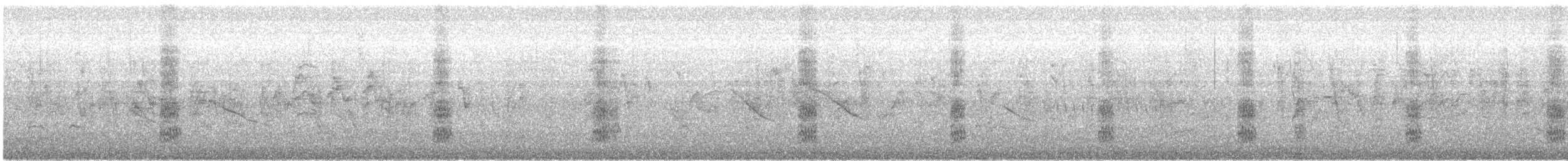 Southern House Wren - ML645717222