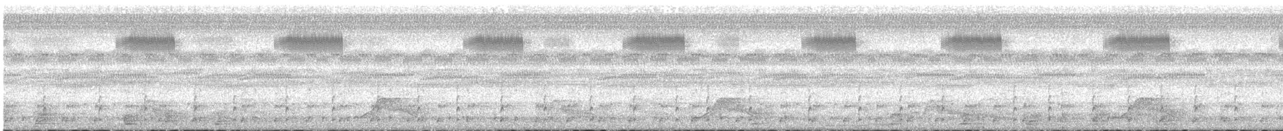 Common Pauraque - ML645717305