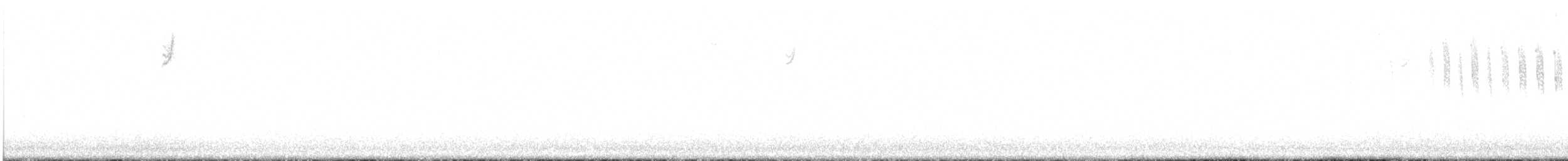 Anna's Hummingbird - ML645719686