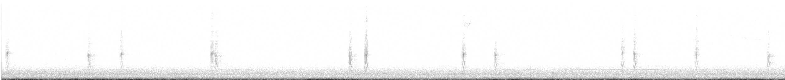 California Thrasher - ML645719976