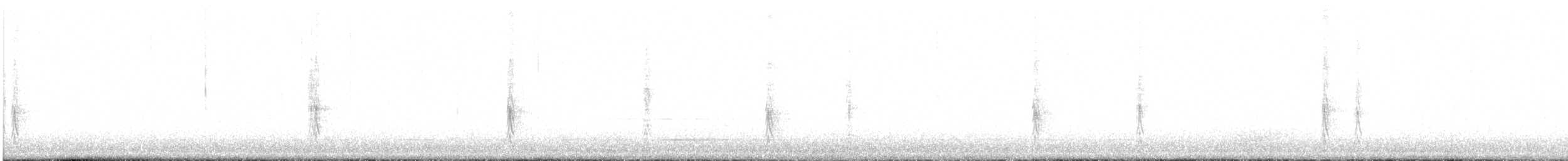 California Thrasher - ML645719977