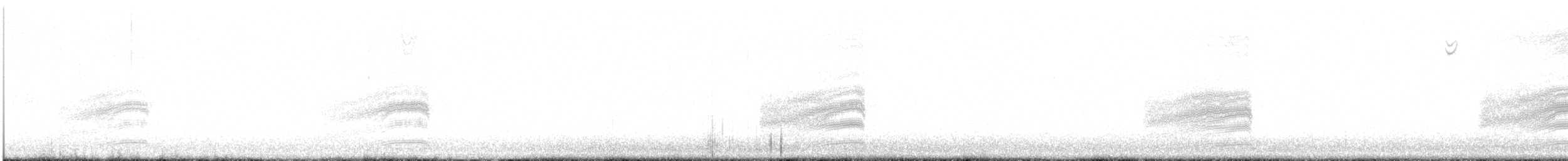 Пятнистый тохи - ML645720007