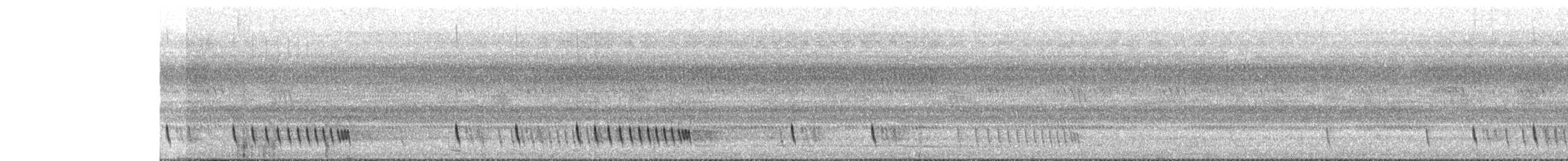 Chotacabras Hindú - ML645720416