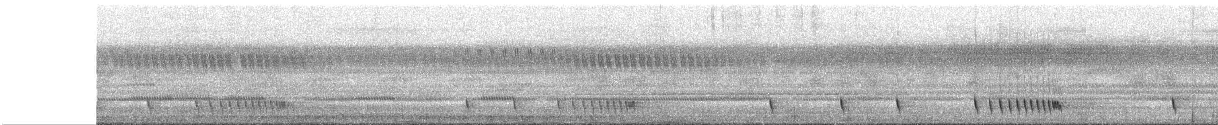 Chotacabras Hindú - ML645720477