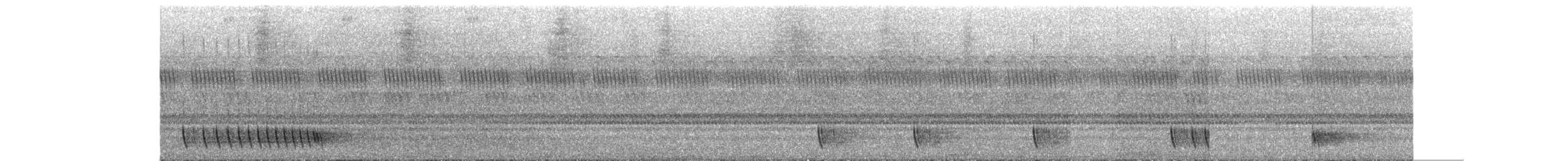 Chotacabras Hindú - ML645720557