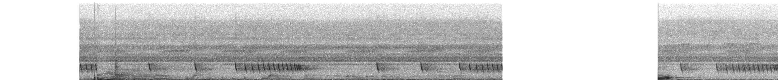 Chotacabras Hindú - ML645720571