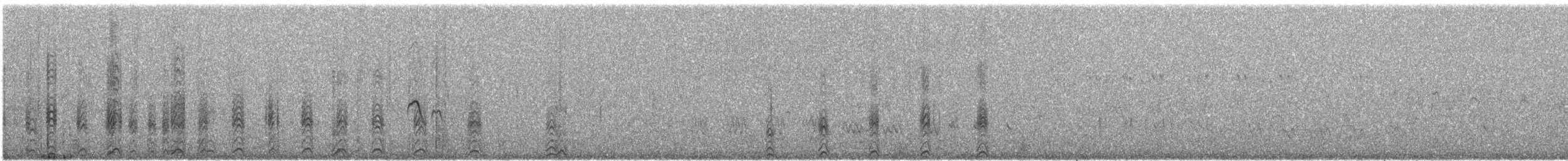 Little Cormorant - ML645720879