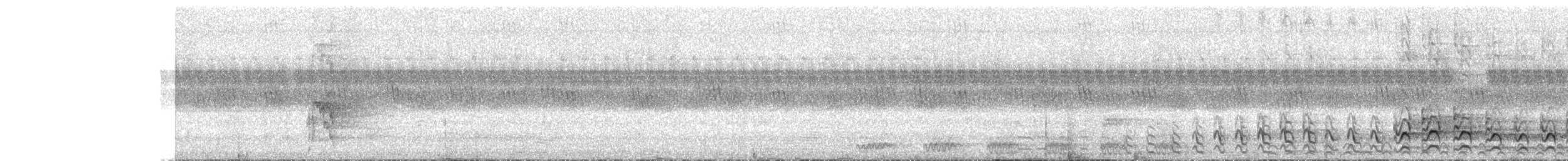 Forest Owlet - ML645721006