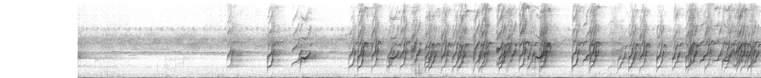 Forest Owlet - ML645721034