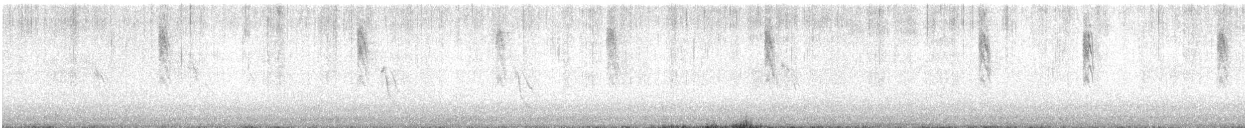 Winter Wren - ML645721418