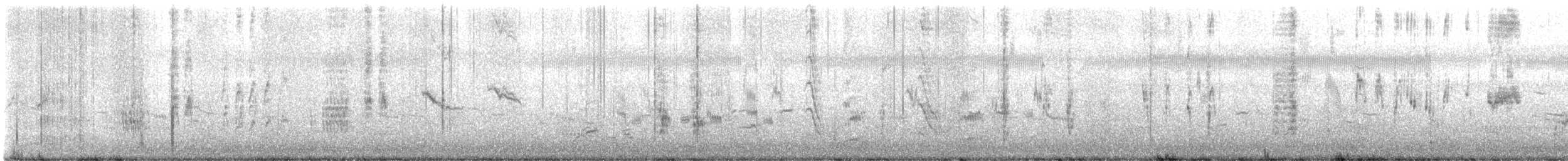 Long-tailed Shrike - ML645721449