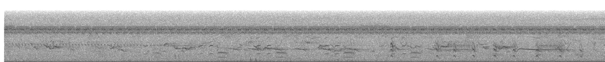 chřástal tmavý - ML645722031