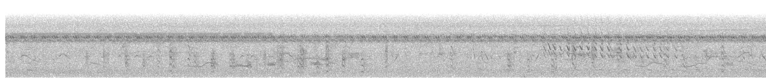 chřástal tmavý - ML645722032