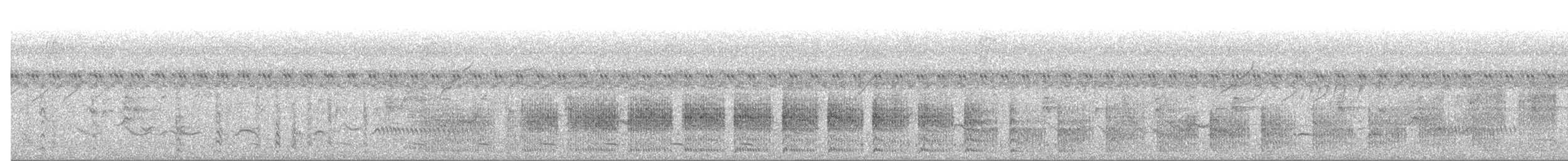 chřástal tmavý - ML645722033