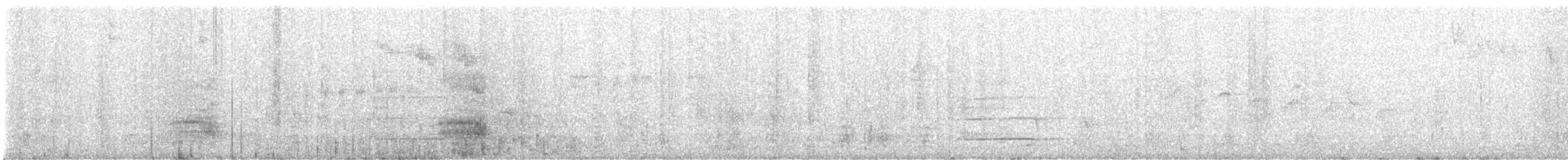 Black Woodpecker - ML645722449