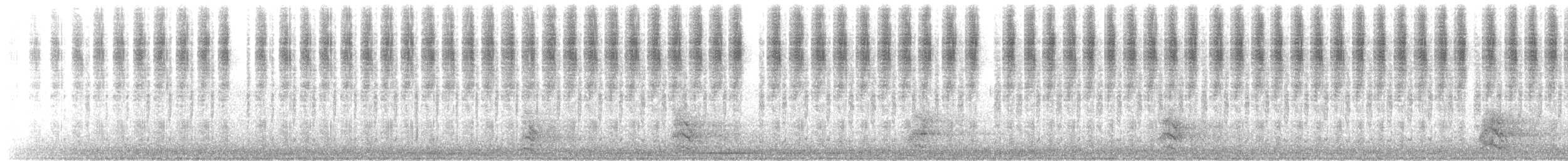 Aves sp. - ML645723434