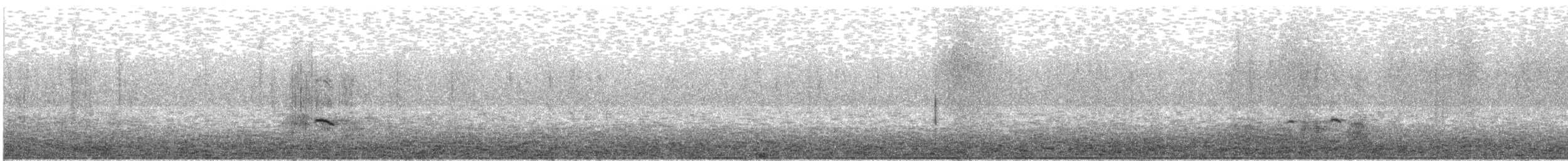 Mallard - ML645723924