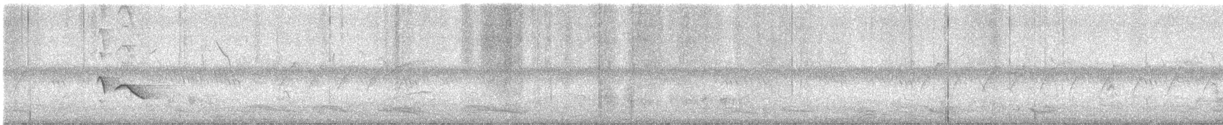 Black Drongo - ML645724140