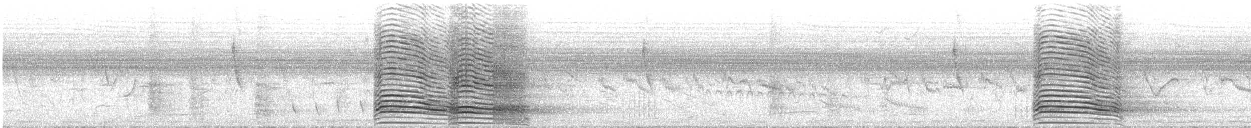 Hadada Ibis - ML645724240