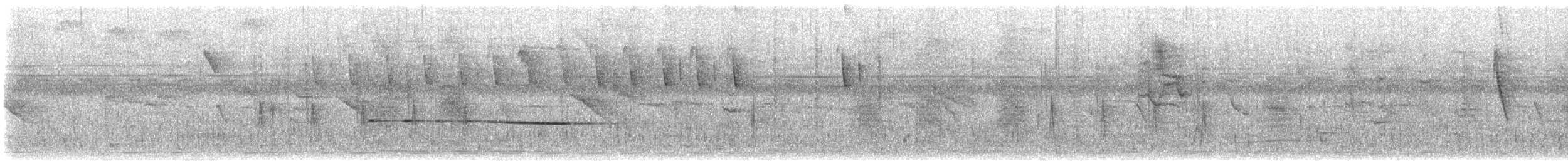 Sulphur-breasted Bushshrike - ML645724288