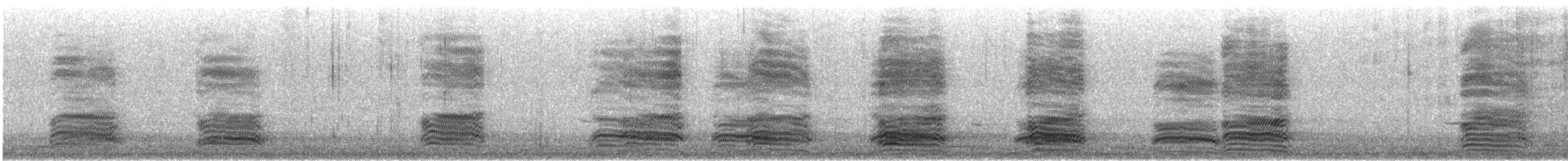 Carrion Crow (Western) - ML645724729