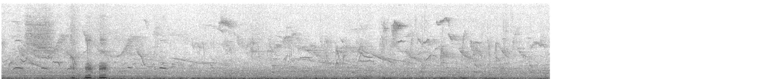 Western Swamphen - ML645725063