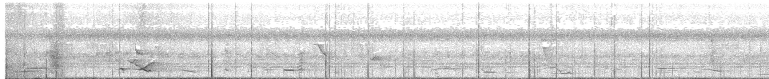 Perroquet jaco - ML645725190