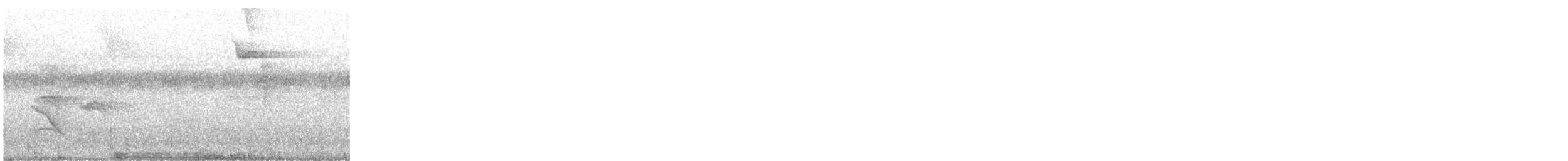 Белобокий муравьелов - ML645725717