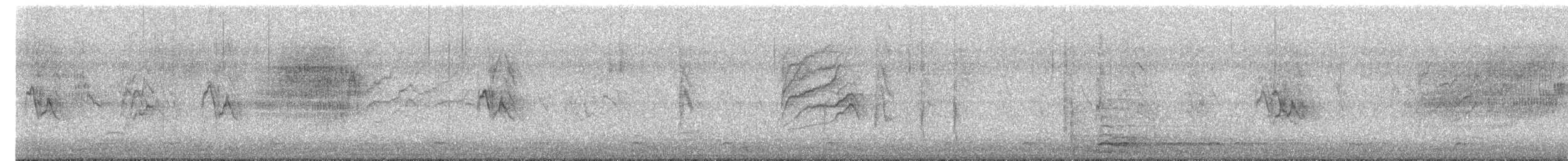 Tarin des pins - ML645725921