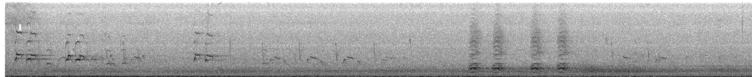 Пёстрый улит - ML645726800