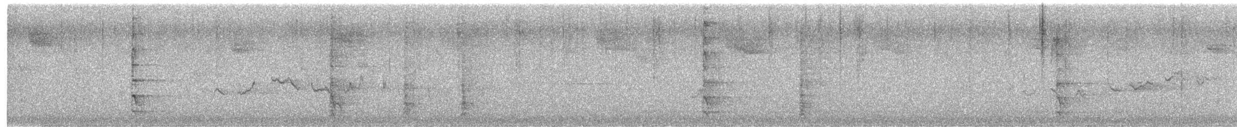 Каролинский дятел - ML645727230