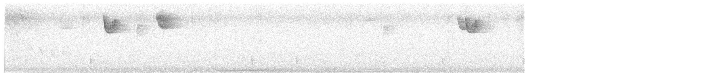 Белогорлая зонотрихия - ML645727337