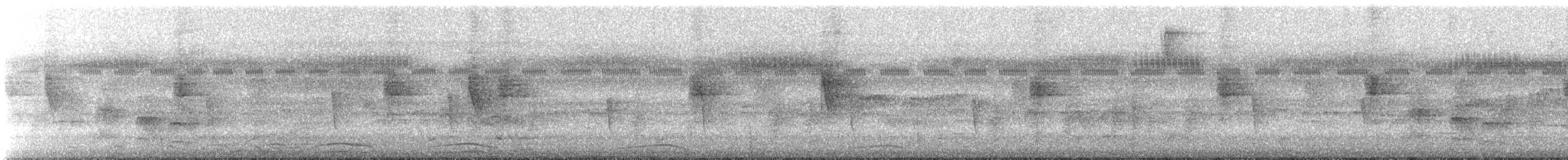 Рарія білошия - ML645728276