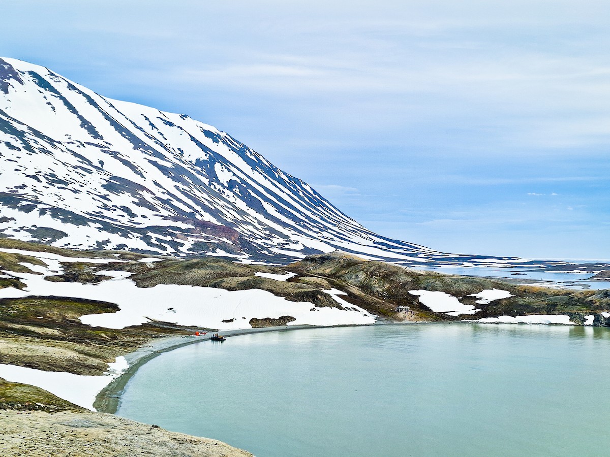 krykkje - ML645729574