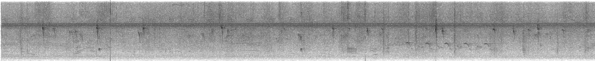 Ash-throated Flycatcher - ML645730899