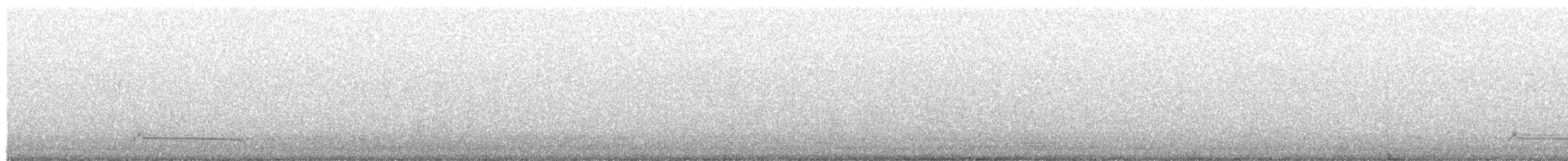 Black Woodpecker - ML645731306