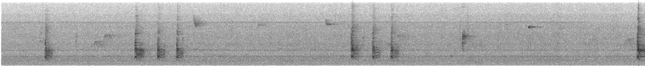 Red-bellied Woodpecker - ML645731372