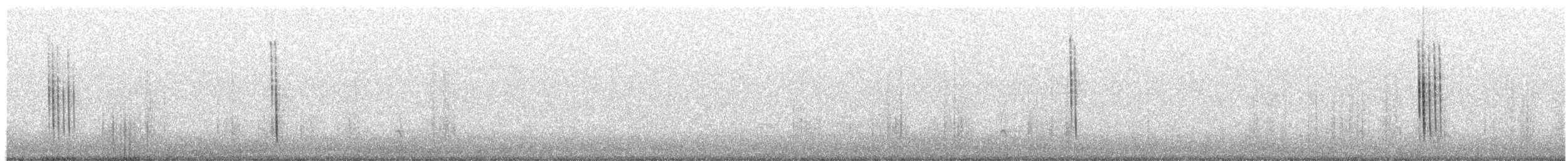 Scricciolo [gruppo troglodytes] - ML645731451