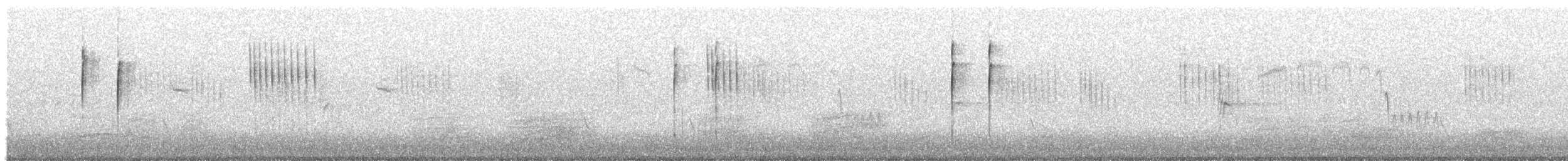 Pettirosso - ML645731658